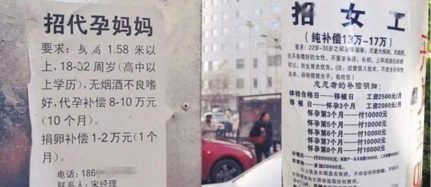 중국에서는 대리모 시장이 급성장하고 있다. 대리모를 모집한다는 전단지. 사진=바이두 캡처
