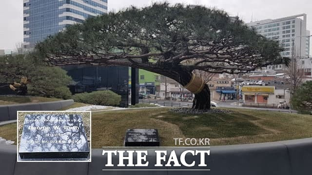 서울 서대문구 충정로3가 풍산그룹 본사에 조지 W. 부시 전 미국 대통령의 기념식수가 있다. 류 회장은 정재계에서 미국통으로 통한다. /더팩트 DB