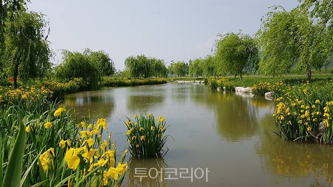 거창 창포원,사진=경남도 제공