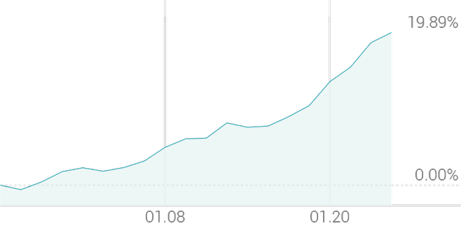 1개월 등락률 +19.89%