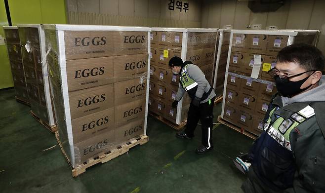 아시아나항공 직원들이 25일 오후 인천공항 화물터미널에서 미국산 계란을 옮기고 있다. 인천공항/김명진 기자 littleprince@hani.co.kr