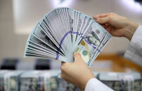 지난해 세계 그린펀드 발행액이 역대 최고치를 기록했다 [뉴시스]