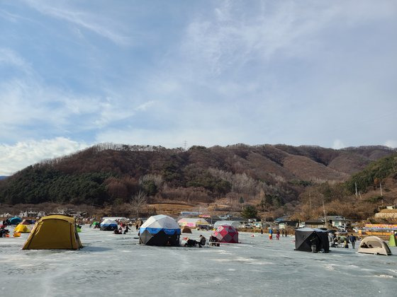 지난 23일 강원 춘천시 춘천호 상류인 춘천시 서면 오월리 얼음벌판에 관광객들이 빙어를 잡기 위해 텐트를 설치한 모습. 박진호 기자