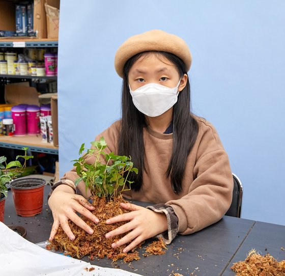 공 모양 수태 토피어리를 만들기 위해 아이비의 뿌리를 수태로 감싸고 있는 김나원 학생기자.