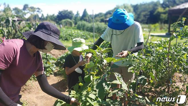 고양시가 2월 26일까지 행복텃밭 700개 구좌를 선착순 모집한다. 구좌 당 부담은 7만원이다.  (고양시청 제공) © 뉴스1