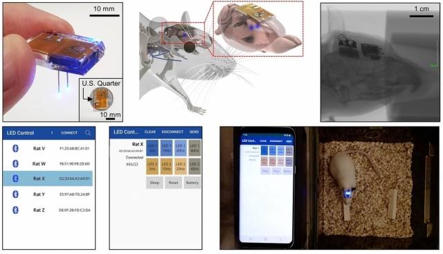 스마트폰으로 뇌 신경 회로를 제어하는 생체 이식 장치. KAIST 제공. 연합뉴스