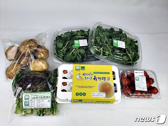 27일 (충주=뉴스1) 윤원진 기자 = 충북 충주시가 올해 친환경농업 실천 농가를 위해 74억6500만원의 예산을 투입한다고 밝혔다. 사진은 충주시 친환경 농산물 꾸러미(뉴스1 DB)2021.1.27/© 뉴스1
