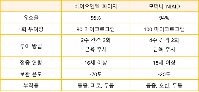 현재 사용되는 mRNA 코비드19 백신 비교. IBS 제공