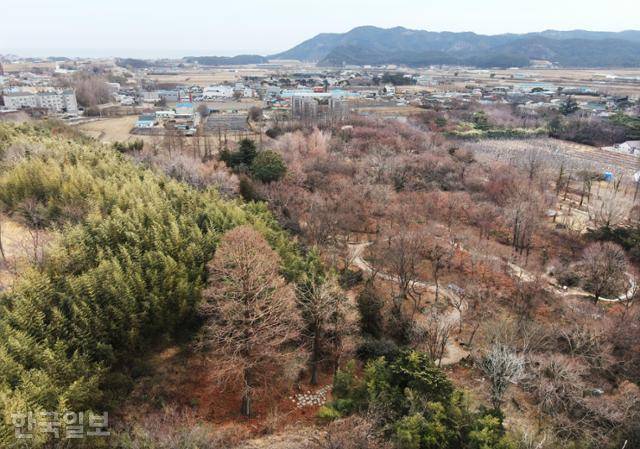 포항 청하면의 기청산식물원. 이삼우 원장이 자신의 조경 철학을 담아 50여년간 일궈 온 공간이다.