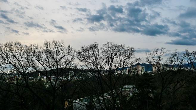 천장산 하늘길에선 홍릉 숲 너머 도시 풍경을 볼 수 있다.