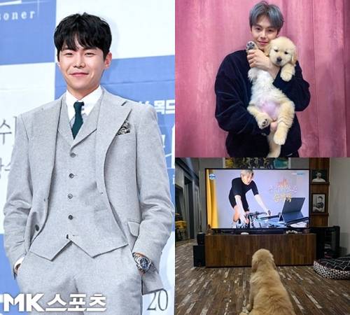 배우 박은석이 반려동물 파양 의혹에 휘말린 가운데, 이를 전면반박하고 나섰다. 사진=DB, 박은석 인스타그램