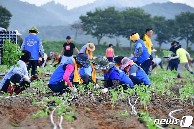 전남 장성군이 올해 한층 강화된 귀농‧귀촌인 정착지원사업을 추진한다고 13일 밝혔다. © News1 박영래 기자