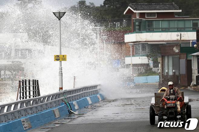 자료사진 /뉴스1 © News1 윤일지 기자