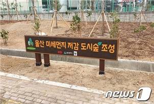 울산 도시숲 조성 .© 뉴스1