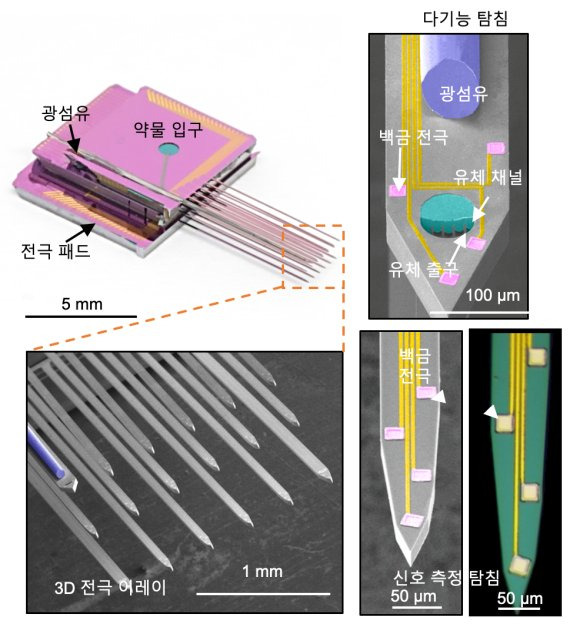 한국과학기술연구원 뇌과학연구소 조일주·최낙원 박사팀이 제작한 3차원 인공 뇌회로 측정용 초소형 분석 시스템. 63개의 실리콘 바늘 내부에는 백금전극이 삽입돼 있어 신경신호 측정이 가능하다. 또한 광섬유와 약물 전달할 수 있는 미세한 관이 들어가 있어 빛이나 약물로 뇌 세포를 정밀하게 자극할 수 있다. KIST 제공