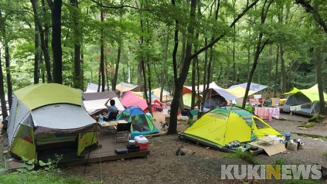 야영장(쿠키뉴스DB)