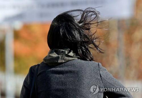 바람 [연합뉴스 자료사진]