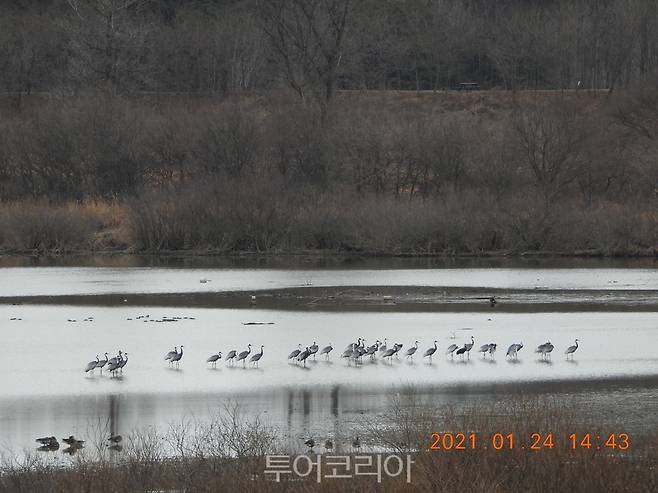 창녕 우포늪 출입 통제