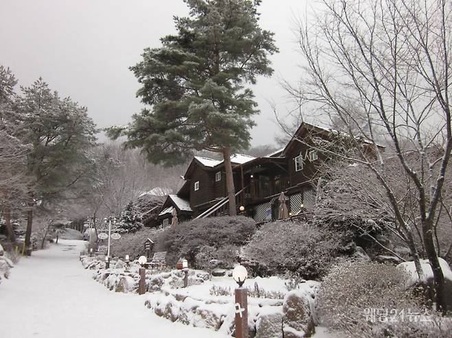 사진 : 대한민국 평창 '메이페어 데네브 펜션'