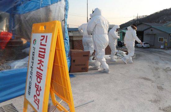 이미지출처=연합뉴스