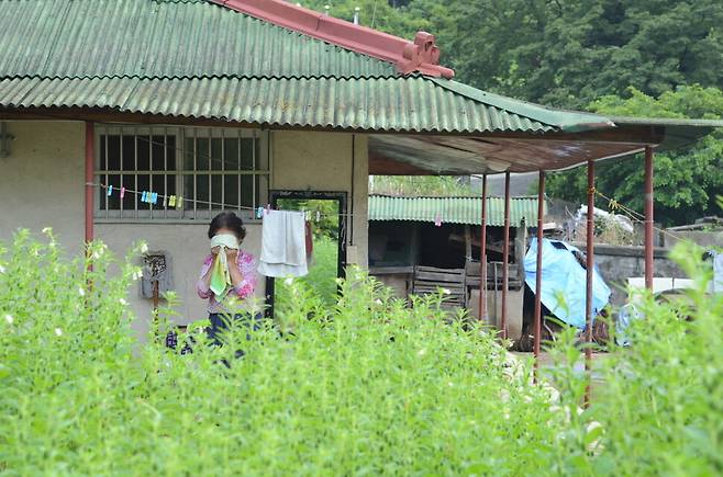 지난해 7월19일. 참깨꽃이 한창인 계절, 할머니가 수돗가에서 세수하고 얼굴을 닦고 계신다. 송숙 제공