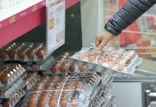 한 소비자가 28일 서울 서초구 농협 하나로마트 양재점에서 자연산 대란(30구)을 구매하고 있다. 정부는 농협유통 직매장을 통해 다음 달 10일까지 계란 200만구를 순차적으로 시장에 공급해 가격 안정에 나설 계획이다. 연합뉴스