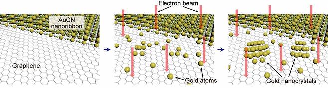투과전자현미경을 통해 관찰한 금 나노결정의 탄생 과정. 연구진은 그래핀 위에 전자빔과 반응하여 금 원자를 방출하는 나노물질을 합성했다. 투과전자현미경으로 촬영을 시작하면 금 원자가 그래핀 위에 모이면 나노결정을 생성하는 현상이 시작된다. 이렇게 촬영된 영상을 분석하면 금 나노 결정의 탄생 순간을 관찰할 수 있다. [IBS 제공]