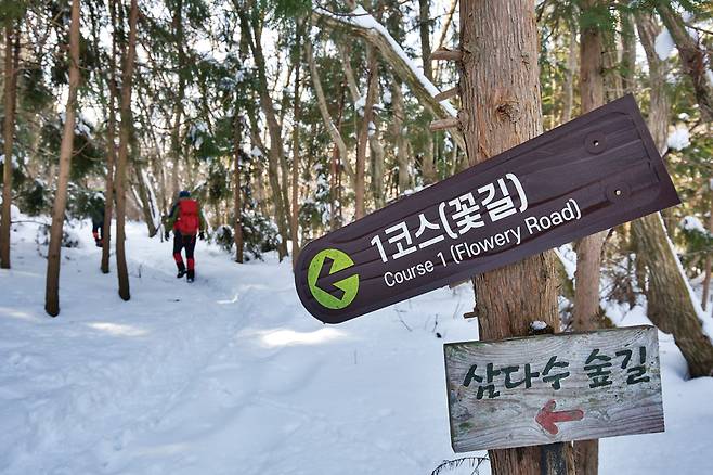 숲길 곳곳에 이정표와 안내리본이 잘되어 있어 길 헤맬 염려가 없다.