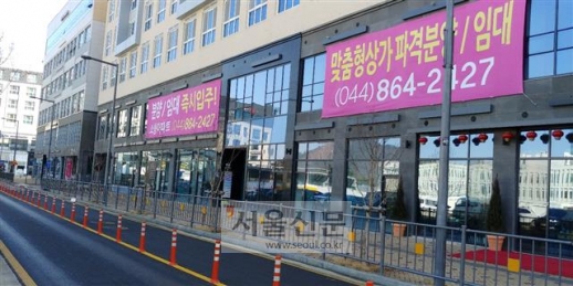 세종시 법원과 검찰청이 들어설 소담동 법조타운 인근 상가 건물은 1층마저 대부분 비어 있고, 건물 벽에 커다란 상가 임대 플래카드가 내걸려 있다.이천열 기자 sky@seoul.co.kr
