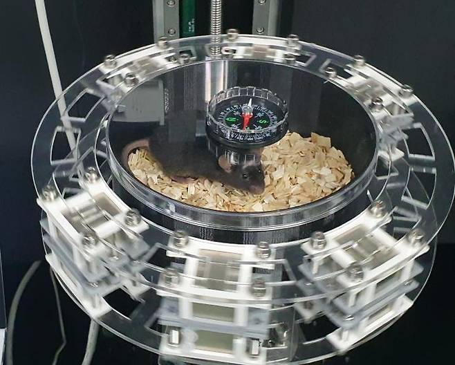 천진우 IBS 나노의학연구단장·이재현 연구위원 팀이 개발한 나노 자기 유전학 장치 [촬영 정윤주]