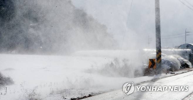 강풍에 날리는 눈보라 [연합뉴스 자료사진]