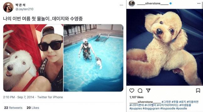 과거 박은석이 키웠던 반려동물들. (사진=박은석 트위터, 인스타그램)