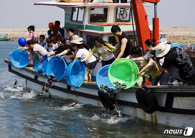충남수산자원연구소가 도내 연안‧하천에 지역 특산 어린물고기 3200만 마리를 방류한다. © 뉴스1
