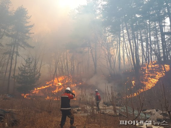 경기도 산불진화 현장. 사진제공=경기도산불방지대책본부