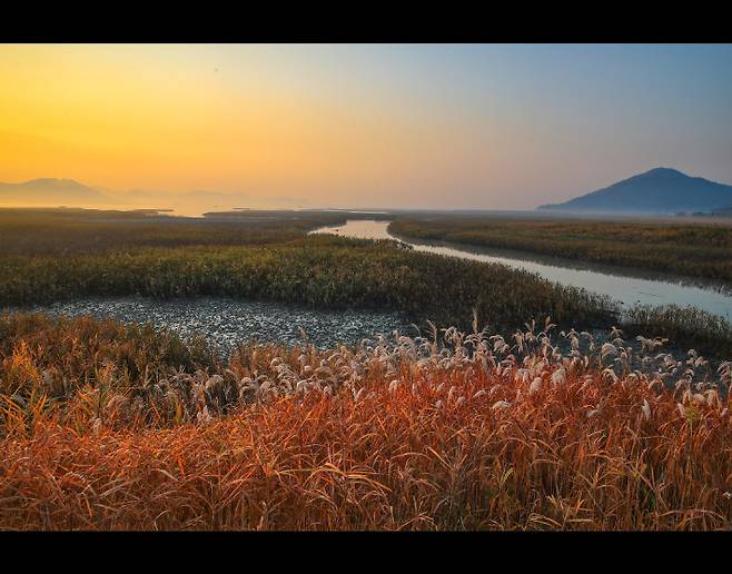 순천만. 전남도 제공