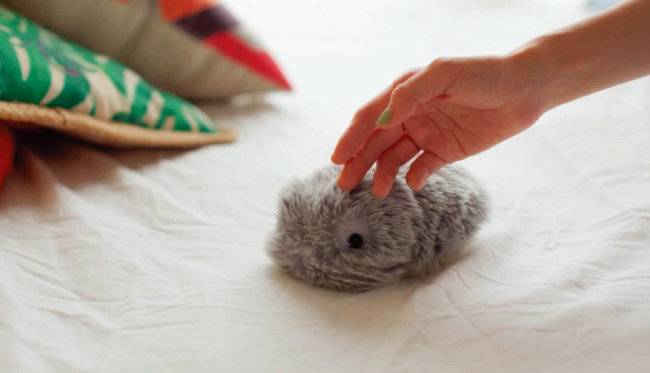 감성을 학습하는 로봇 ‘모프린’. [뱅가드 인더스트리즈]