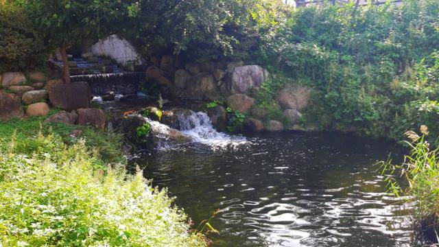 충남 공주 제민천 상류 비오톱. 최성용 작가 제공