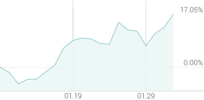 1개월 등락률 +16.98%