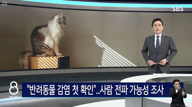 SBS 8뉴스, 올해 1월 24일