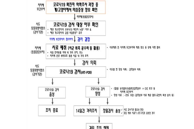 반려동물 코로나19 검사 대상 및 절차. 농림축산검역본부 해외전염병과 제공