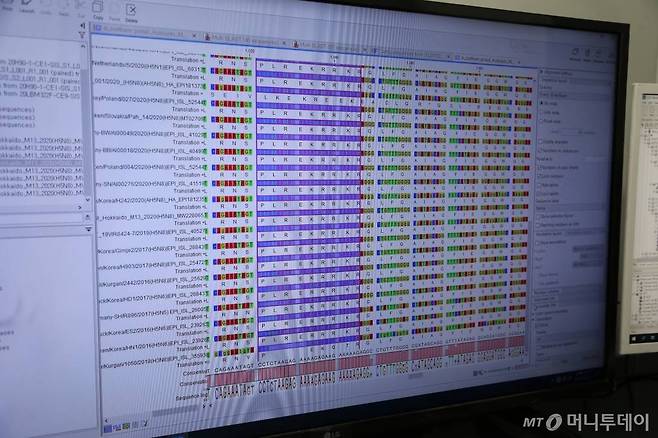 PC 모니터에 해독작업을 거친 AI 바이러스의 유전자 염기서열이 정리돼 있다. 염기서열 분석을 통해 바이러스의 혈청아형과 고병원성 여부를 판정하게 된다. / 사진=정혁수