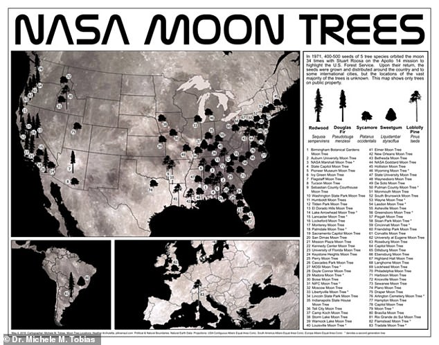 NASA는 최근 달 나무 지도를 공개했다.(사진=미셸 토비어스 박사 제공)