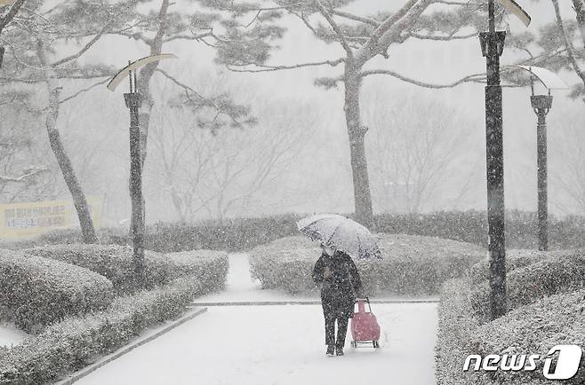 대설주의보가 발효된 지난달 28일 오전 서울 양천구 목동 인근에 함박눈이 펑펑 쏟아지고 있다. 2021.1.28/뉴스1 © News1 권현진 기자