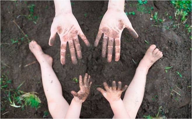 어린 시절 다양한 미생물에 노출돼야 면역계가 안정적으로 발달한다는 ‘위생 가설’은 그뒤 옛친구 가설로 다듬어졌다. 옛친구 가운데 기생충의 역할도 중요하다. PNAS 제공