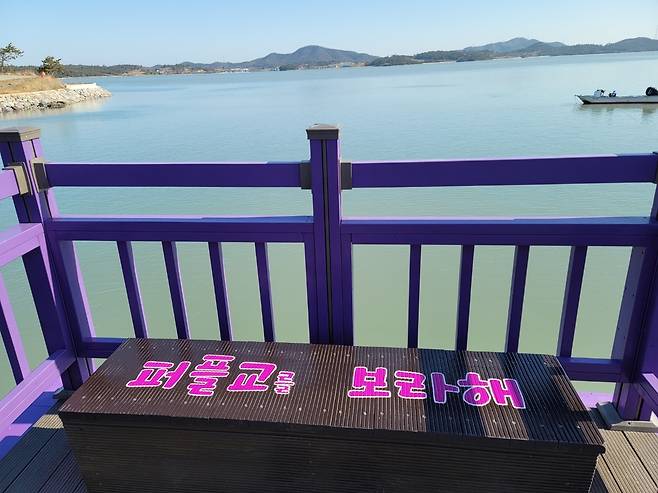 '보라해' [신안군 제공·재판매 및 DB 금지]