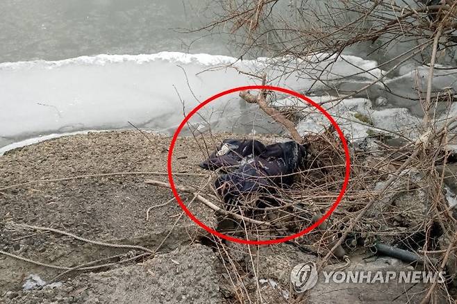 실종 2주일 된 발달장애인 점퍼 한강 강변서 발견 [연합뉴스 자료사진]