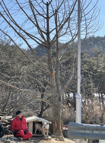 어떤 개는 바깥에서 키우는 거라고, 그리 쉽게 목줄을 묶었었다. 1m 반경 안에서 하루를 보내야 했을 존재의 삶은 어떤 것일까. 말 못하는 이들을 위해 곁에 있기로 했다. 똑같이 짧은 줄에 묶인 채./사진=최은솔 MBC 작가. 시골개, 1m의 삶 체헐리즘은 3월9일 밤 9시20분 MBC '아무튼 출근!'에서 방송된다.