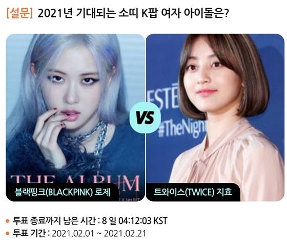 블핑 로제 vs 트와이스 지효..소띠 기대주 K팝 女아이돌은? [스타폴]