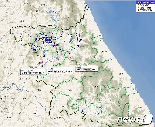 강원지역 아프리카돼지열병 발생현황 지도(강원도 제공)© 뉴스1