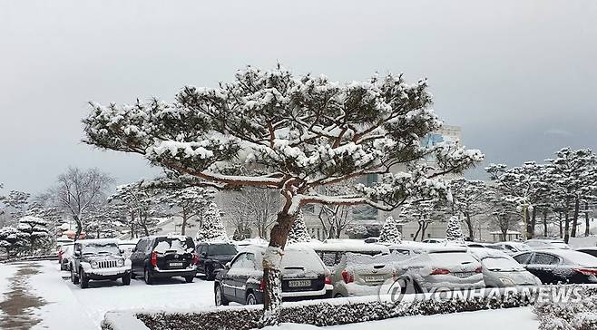 폭설 내리는 보령 [연합뉴스 자료사진]